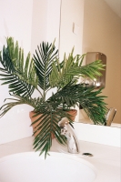 113_1727port160-000015web.jpg