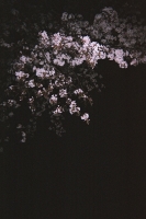 120_000010web.jpg