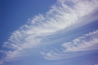 120_000019web.jpg