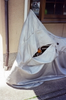 120_000034web.jpg