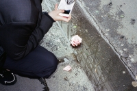 121_000028crweb.jpg