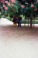 121_000030web.jpg