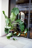 123_000014web_v2.jpg