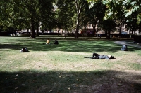 123_000022web.jpg