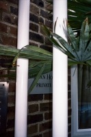 123_000032web.jpg