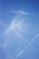 124_000011web_v2.jpg