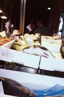 124_000025web.jpg