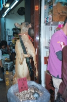 126_000007-small.jpg