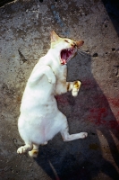 127_9156ektr100000015web.jpg