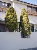 152_06-000002-cr.jpg