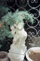 153_22-4211m250d-venice-000022_v2.jpg