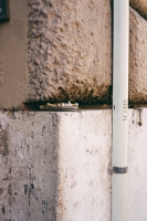 154_10-4200cplus200-roma-000001.jpg