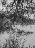 157_0003mdlta3200-000014.jpg