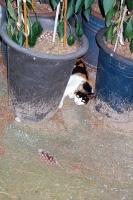 157_0623port400-000028.jpg