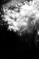 157_0936bw5222-000009.jpg