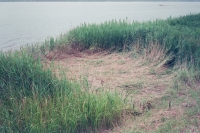 157_8316f64d-000024.jpg