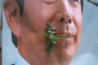 98_88260019s.jpg